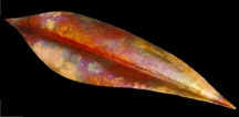 Reclining Feather Sculpture