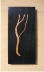 Midlife Sculpture