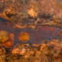 Copper Patina
