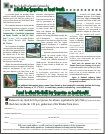 Leadership Institute brochure