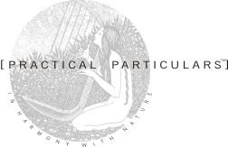Practical Particulars logo